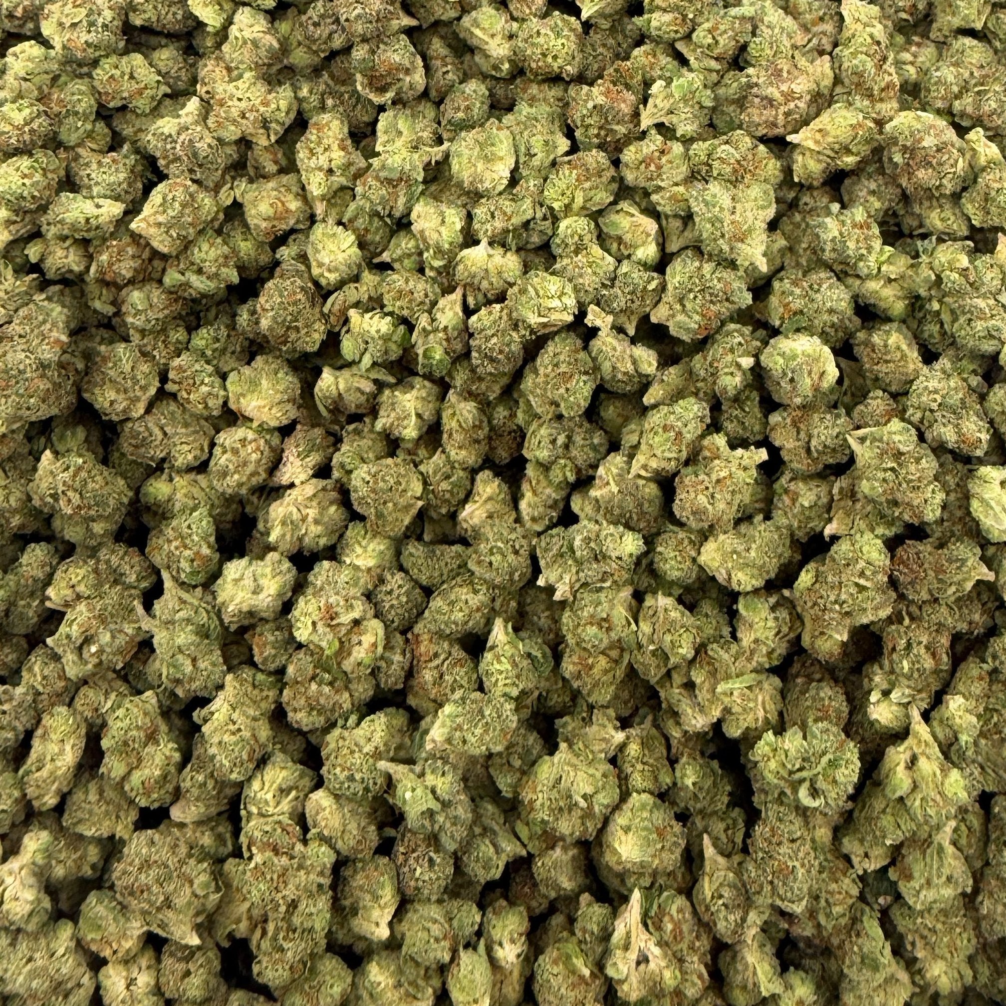 Red Velvet bulk THCA flower — Plain Jane 1 lb
