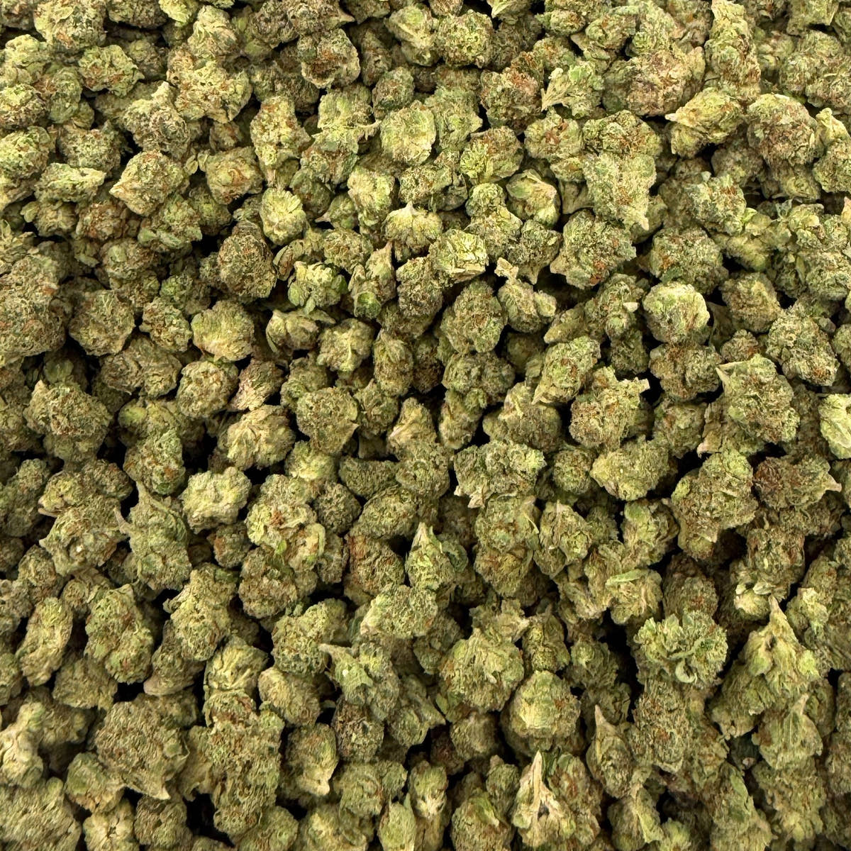 Red Velvet bulk THCA flower — Plain Jane 1 lb