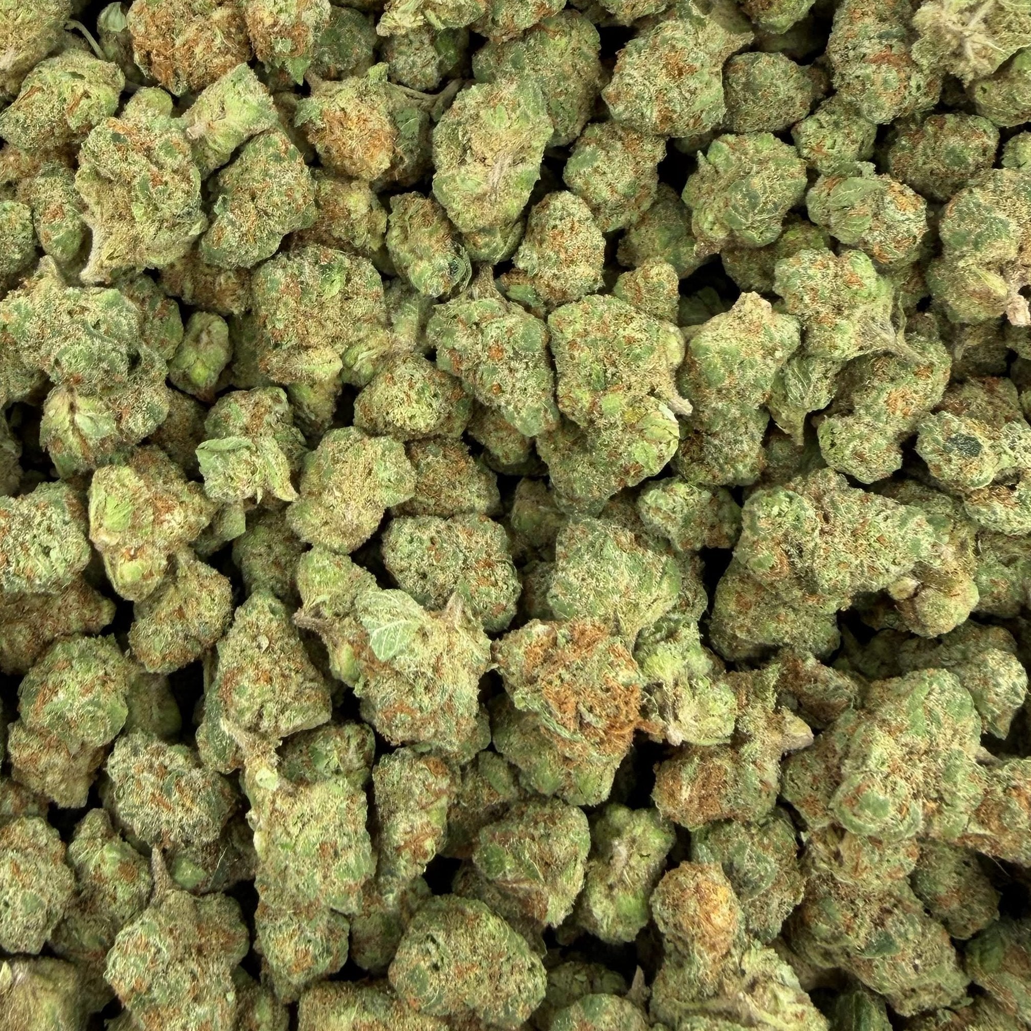 Red Velvet bulk THCA flower — Plain Jane 1 lb
