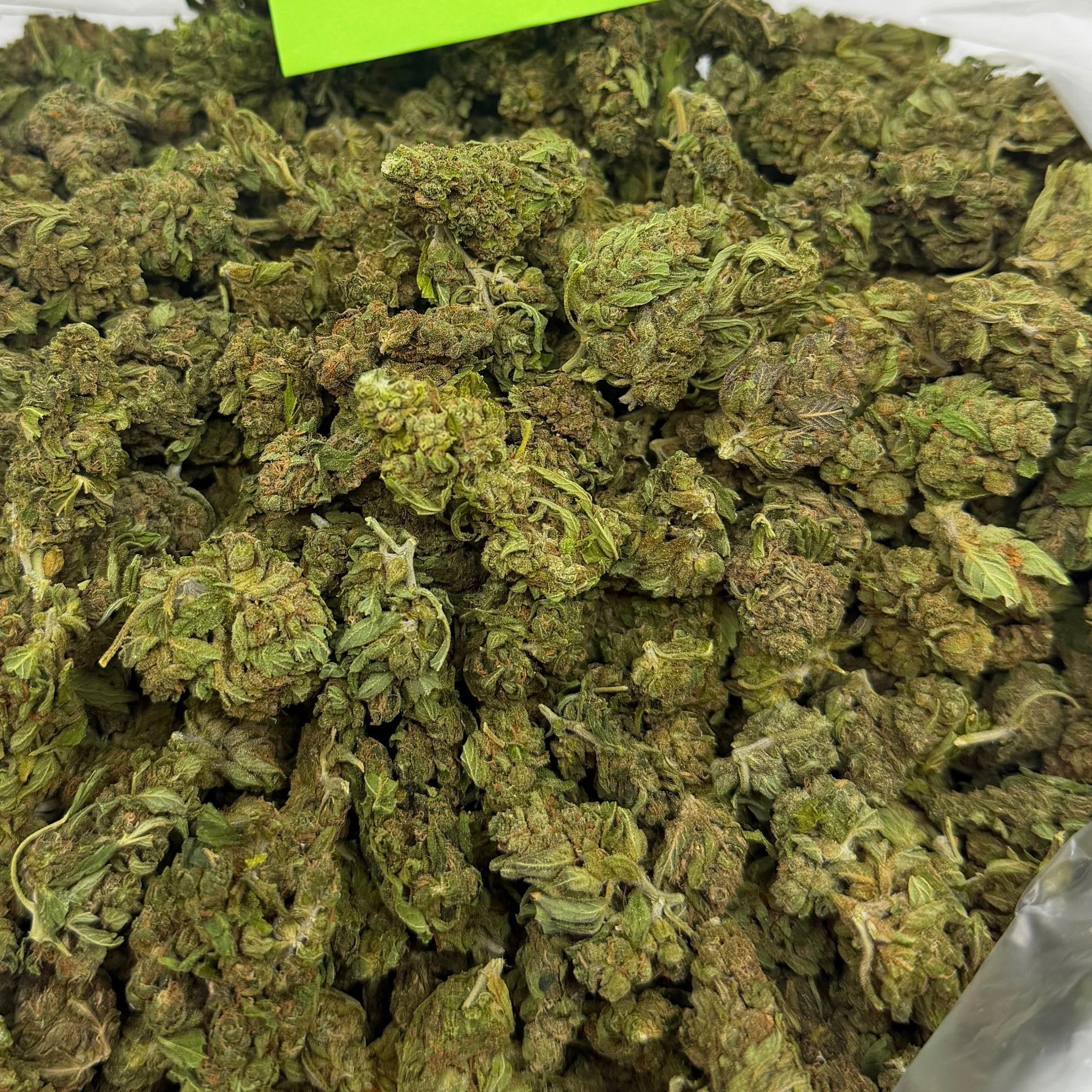Rock Candy bulk THCA flower — Plain Jane 1 lb