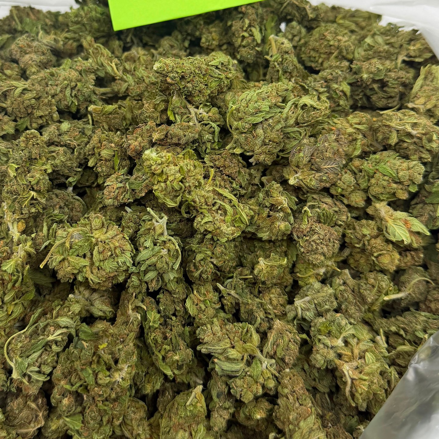 Rock Candy bulk THCA flower — Plain Jane 1 lb