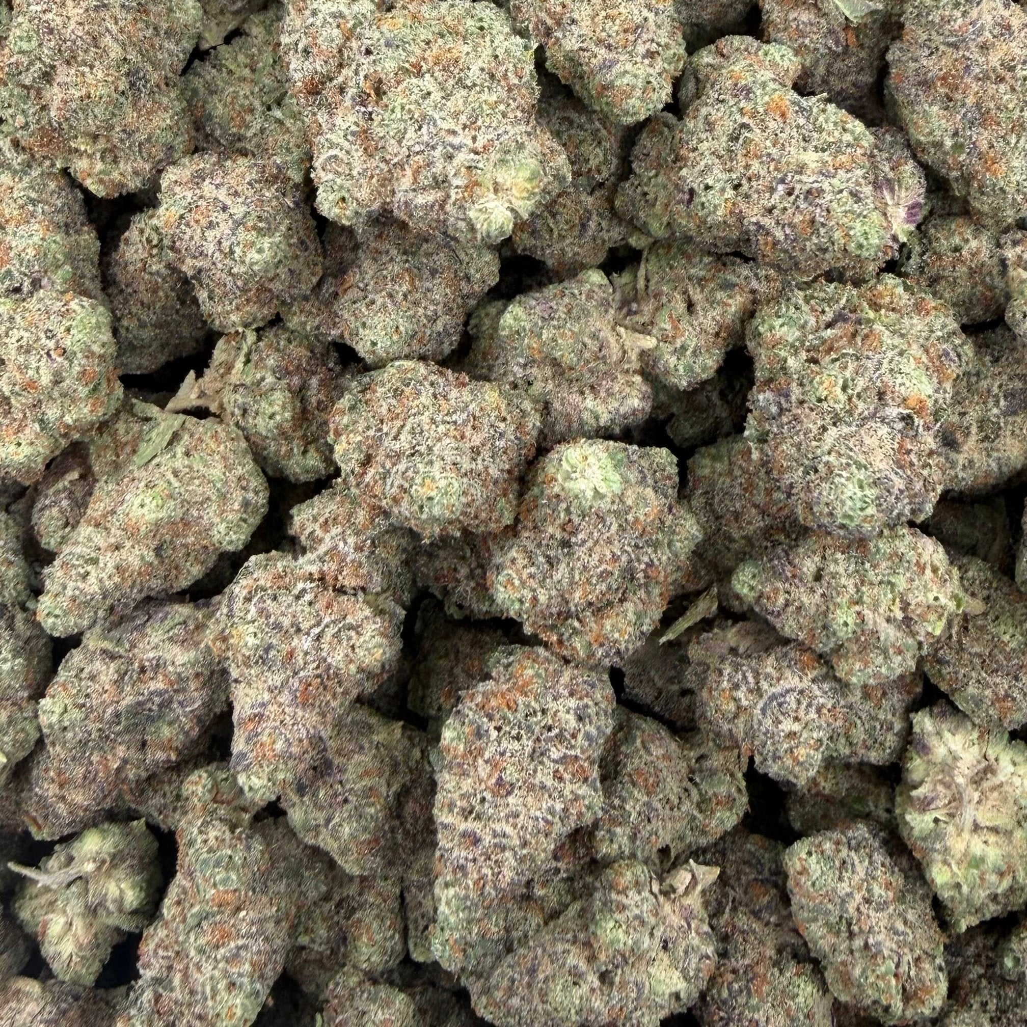 Royal Gas bulk THCA flower — Plain Jane 1 lb