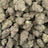 Royal Gas bulk THCA flower — Plain Jane 1 lb