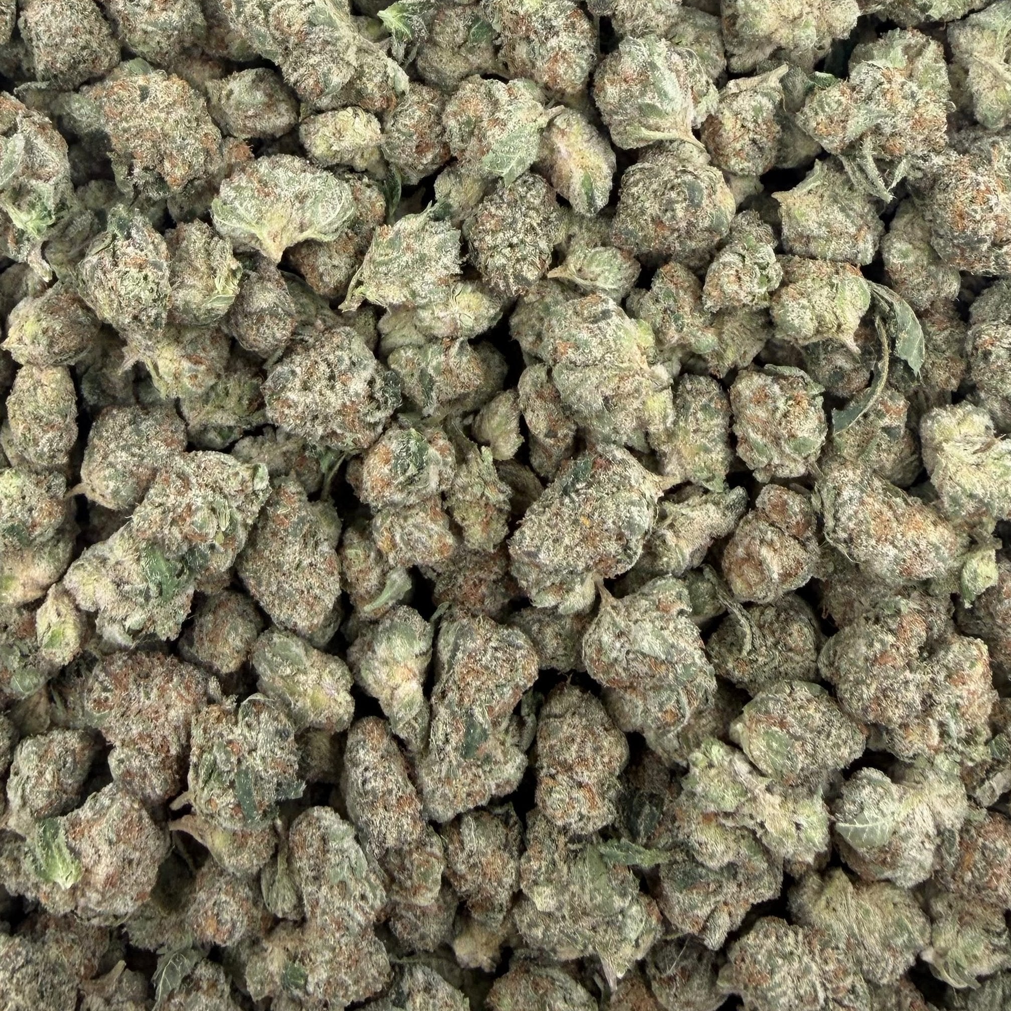 Royal Gas bulk THCA flower — Plain Jane 1 lb