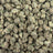 Royal Gas bulk THCA flower — Plain Jane 1 lb