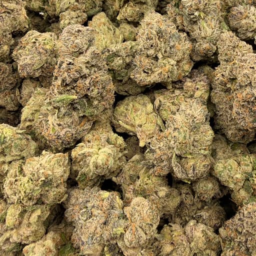 Royal Gas X Dosido (Indoor) – Bulk THCA Flower 1 lb