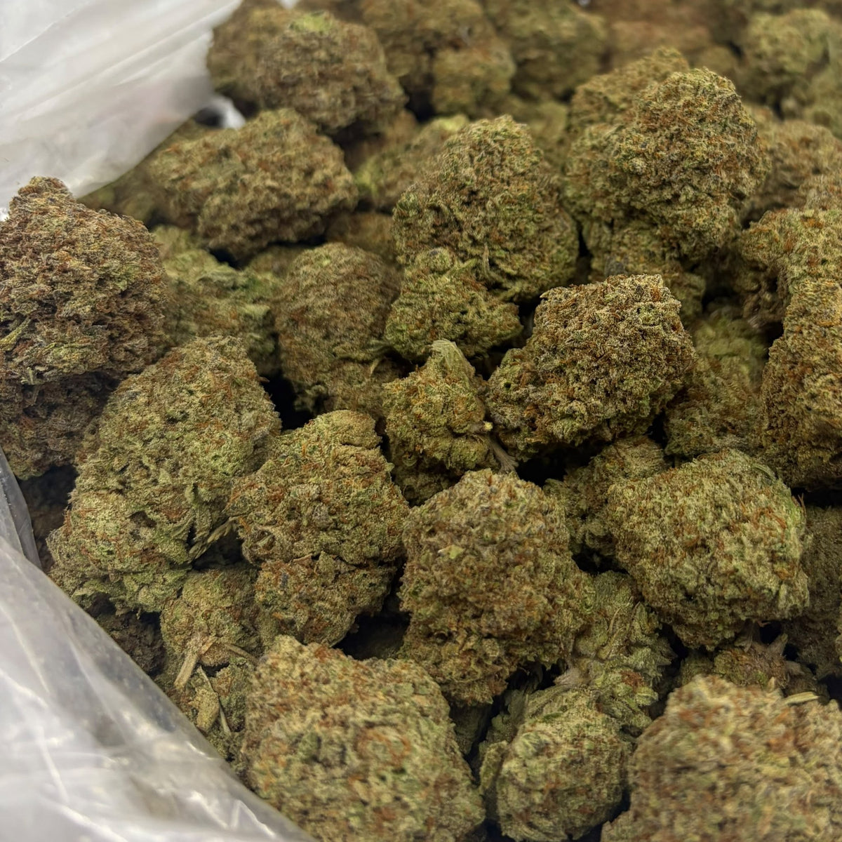 Royal Runtz bulk THCA flower — Plain Jane 1 lb