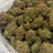 Royal Runtz bulk THCA flower — Plain Jane 1 lb
