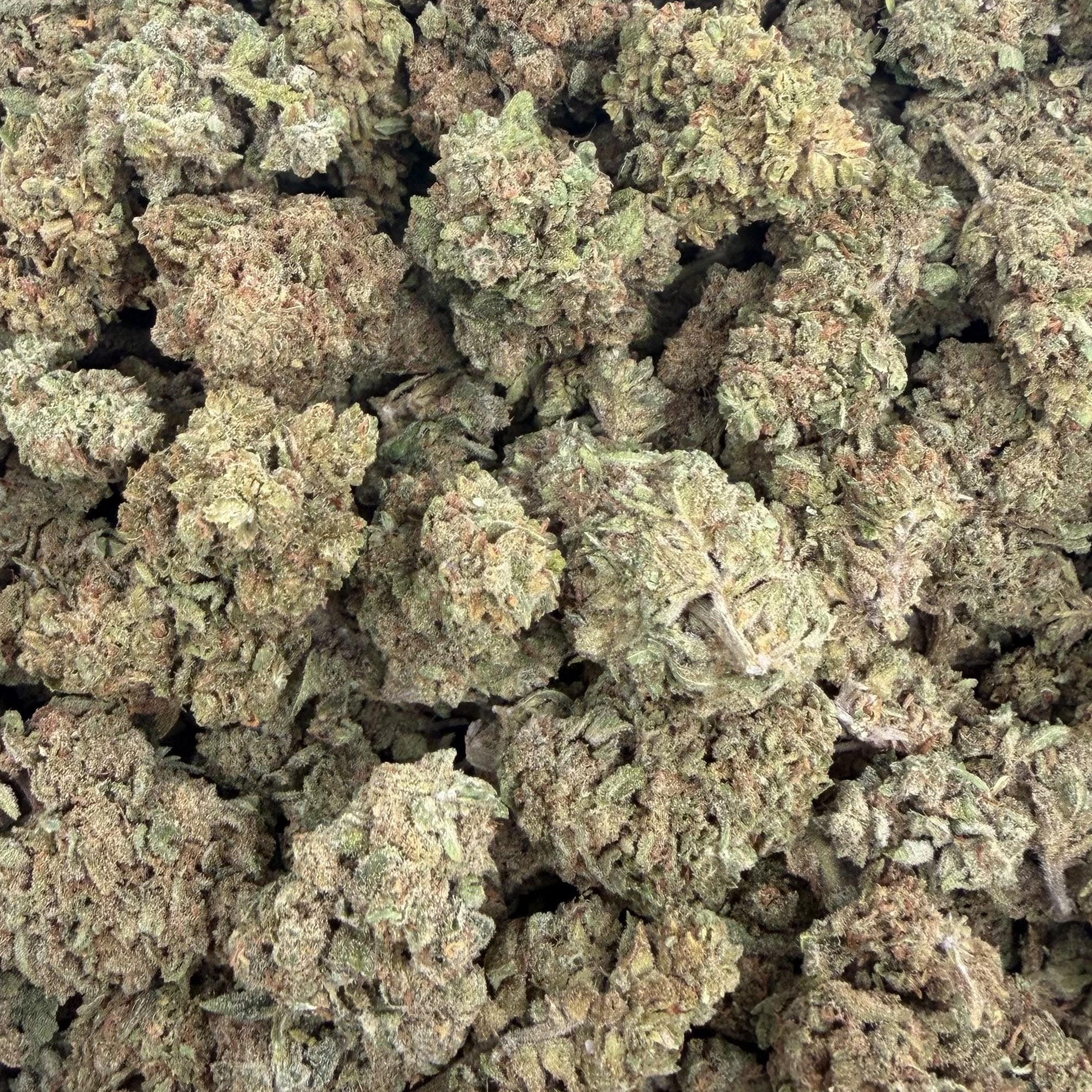 Royal Runtz bulk THCA flower — Plain Jane 1 lb