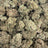 Royal Runtz bulk THCA flower — Plain Jane 1 lb