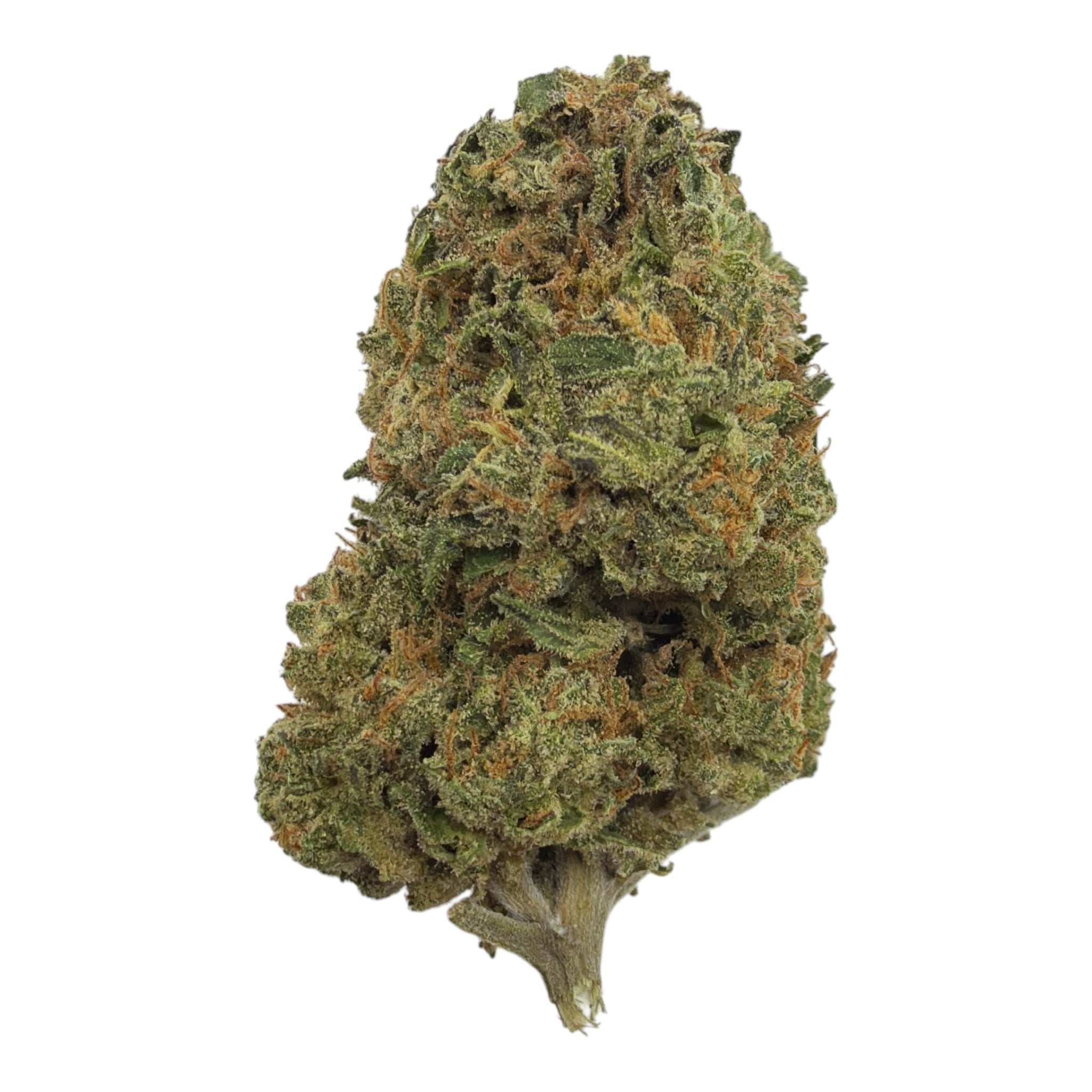Runtz full-size THCA flower — full-frame product photograph