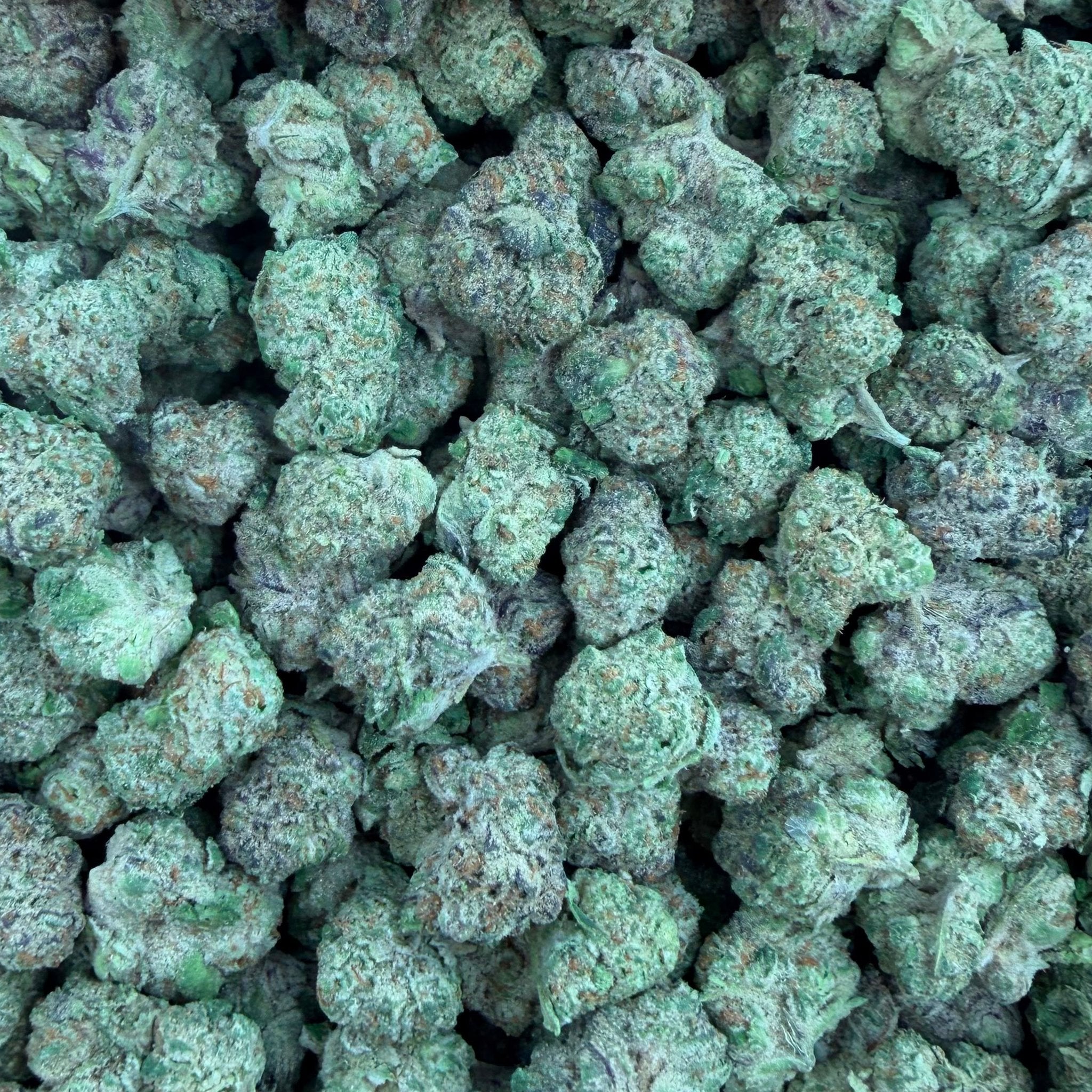 Salted Watermelon bulk THCA flower — Plain Jane 1 lb