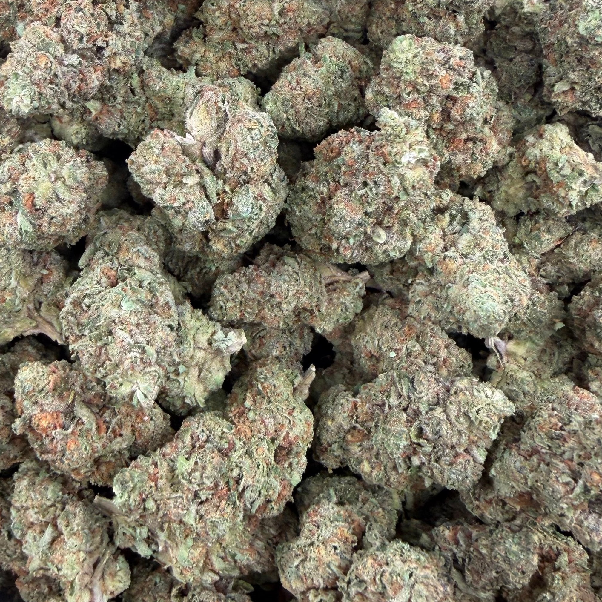 Salted Watermelon bulk THCA flower — Plain Jane 1 lb