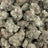 Salted Watermelon bulk THCA flower — Plain Jane 1 lb