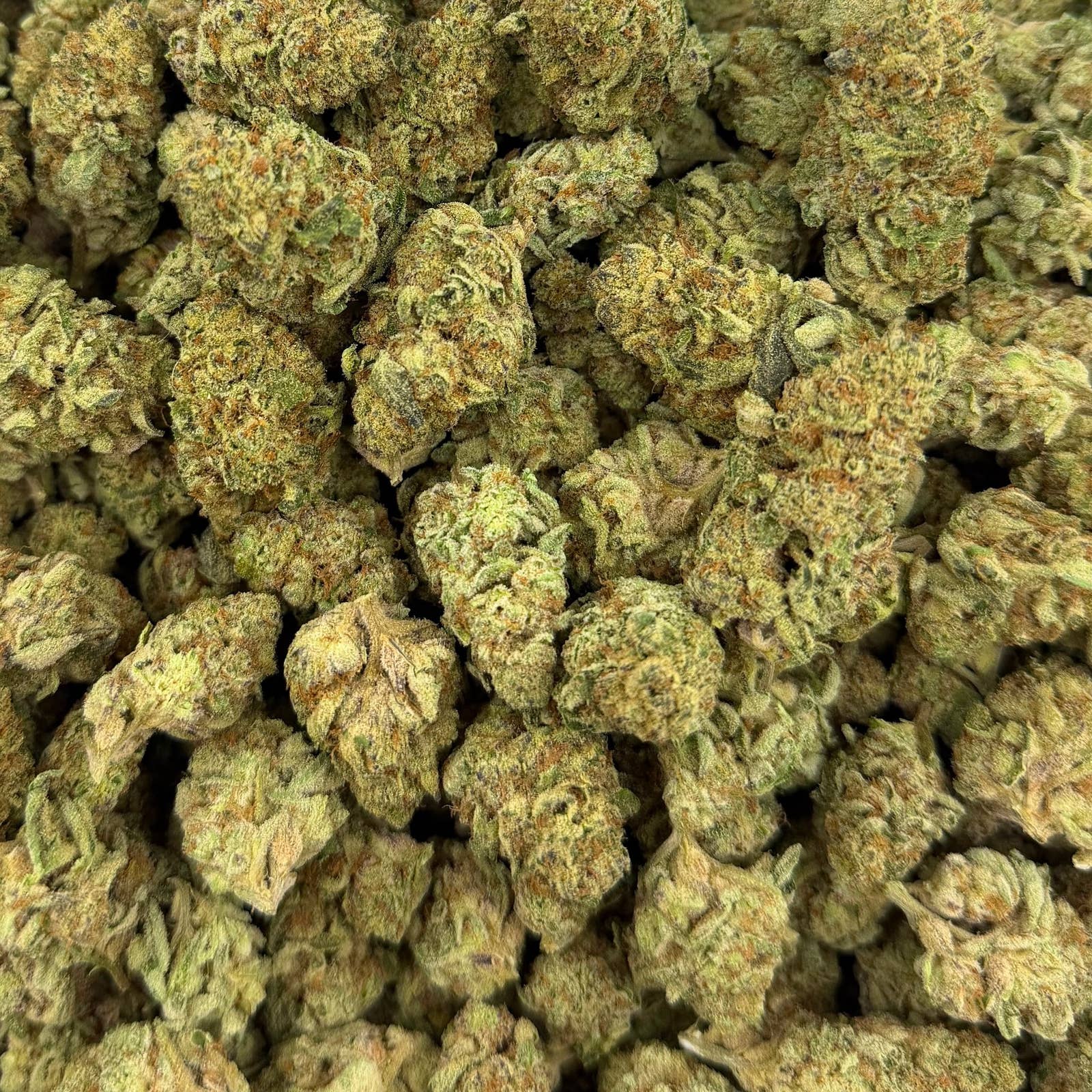 Sand Castles bulk THCA flower — Plain Jane 1 lb
