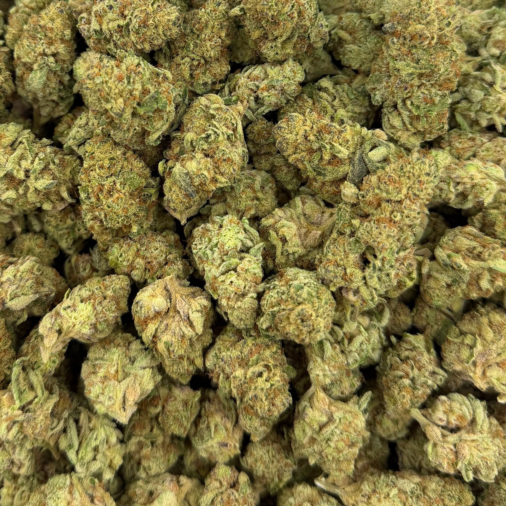 Sand Castles bulk THCA flower — Plain Jane 1 lb
