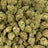 Sand Castles bulk THCA flower — Plain Jane 1 lb