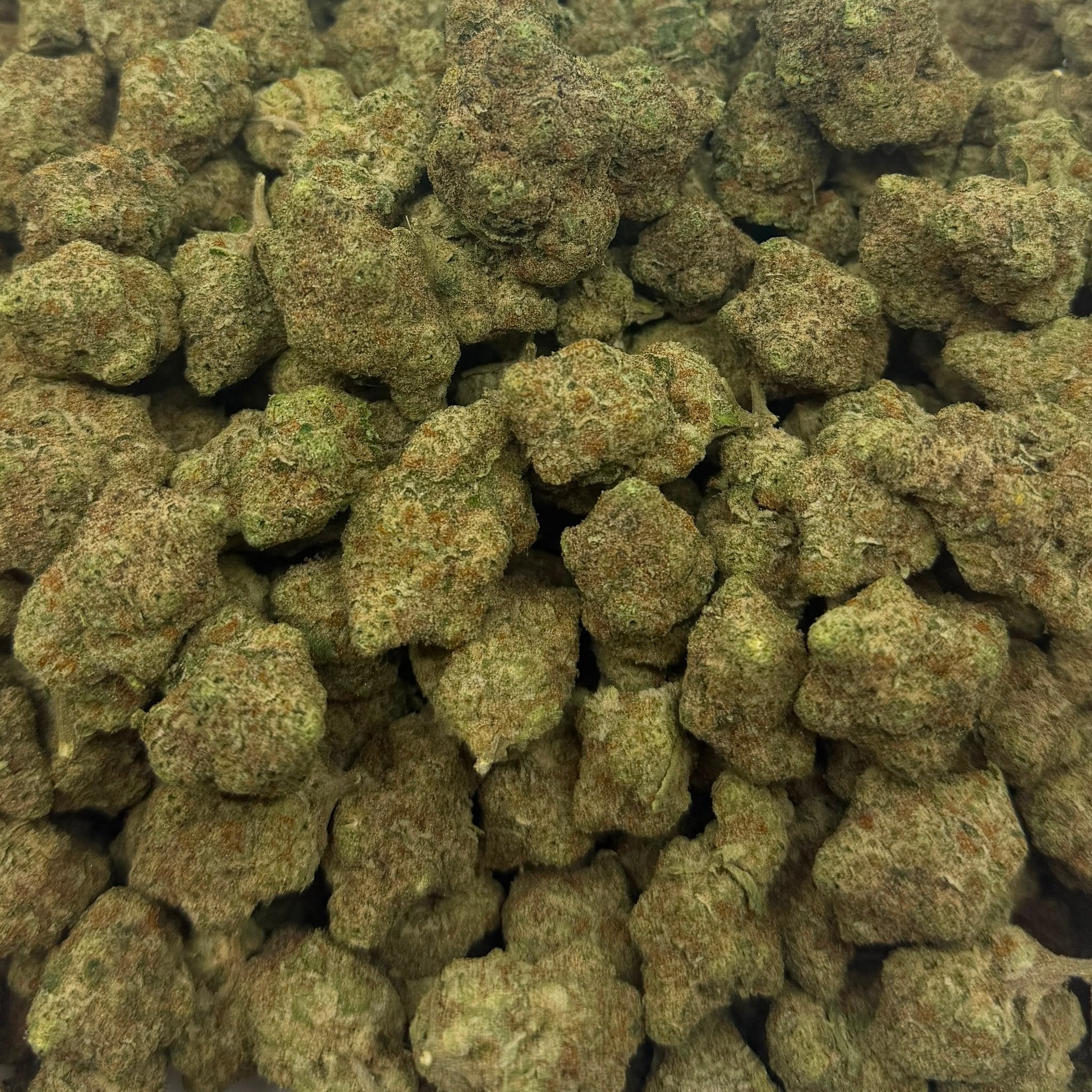 Satsuma Sherb bulk THCA flower — Plain Jane 1 lb