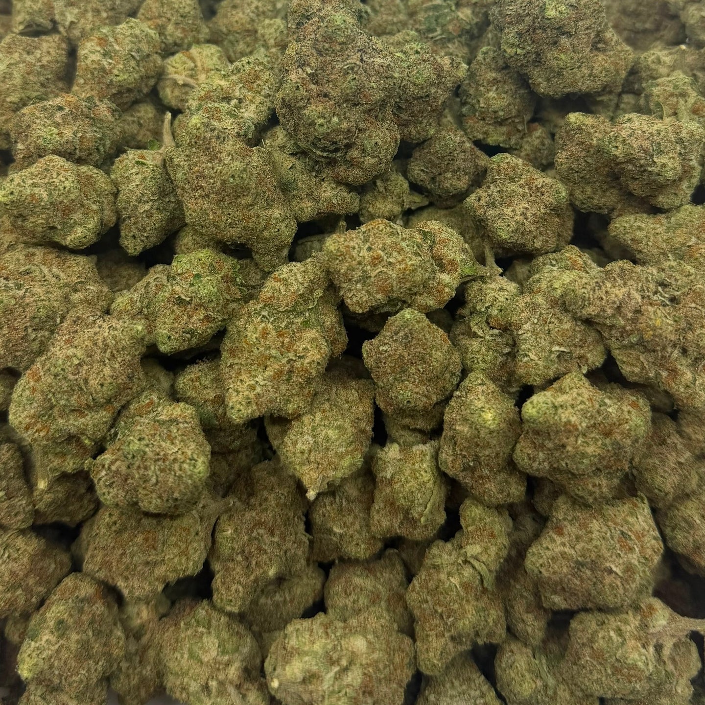 Satsuma Sherb bulk THCA flower — Plain Jane 1 lb