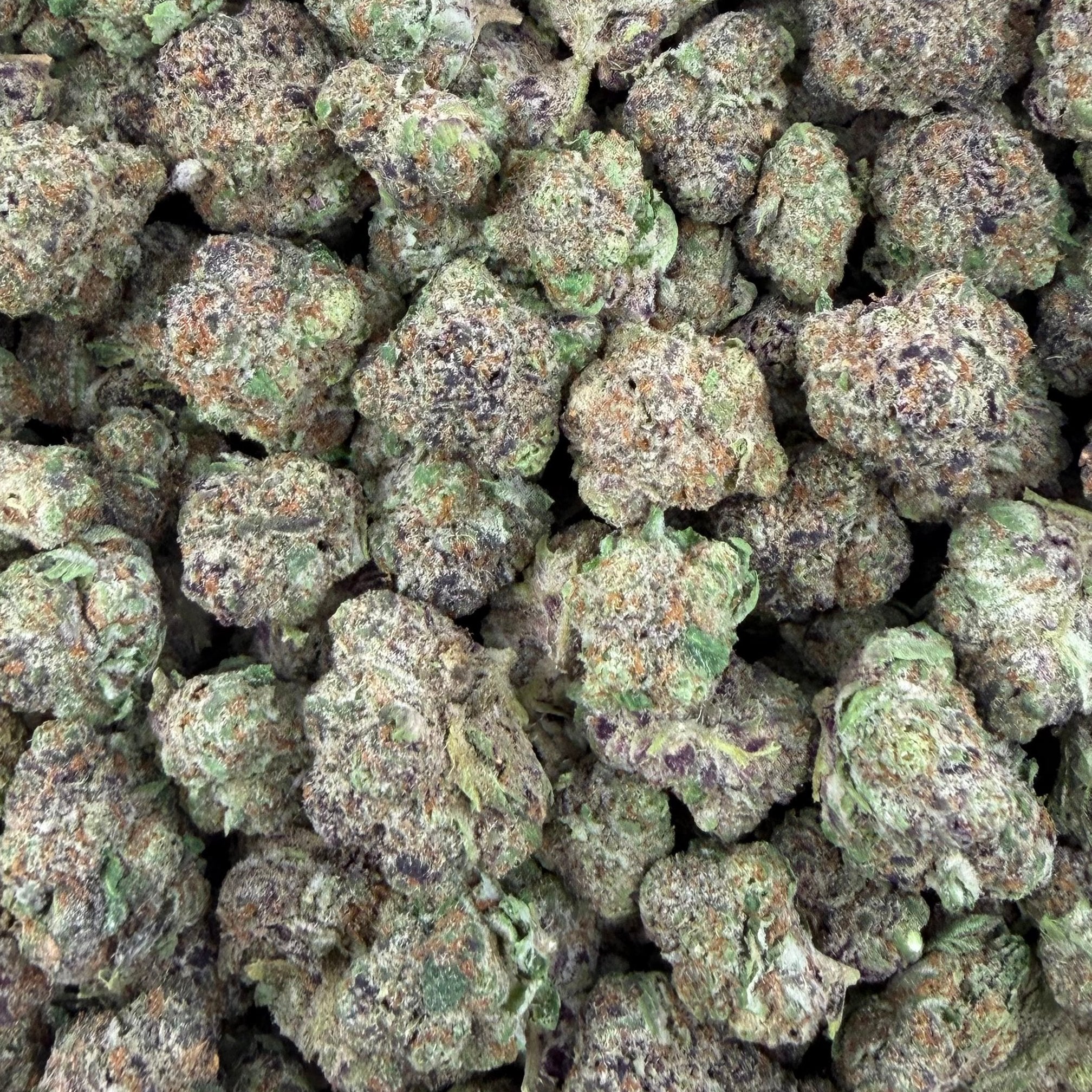 Satsuma Sherb bulk THCA flower — Plain Jane 1 lb