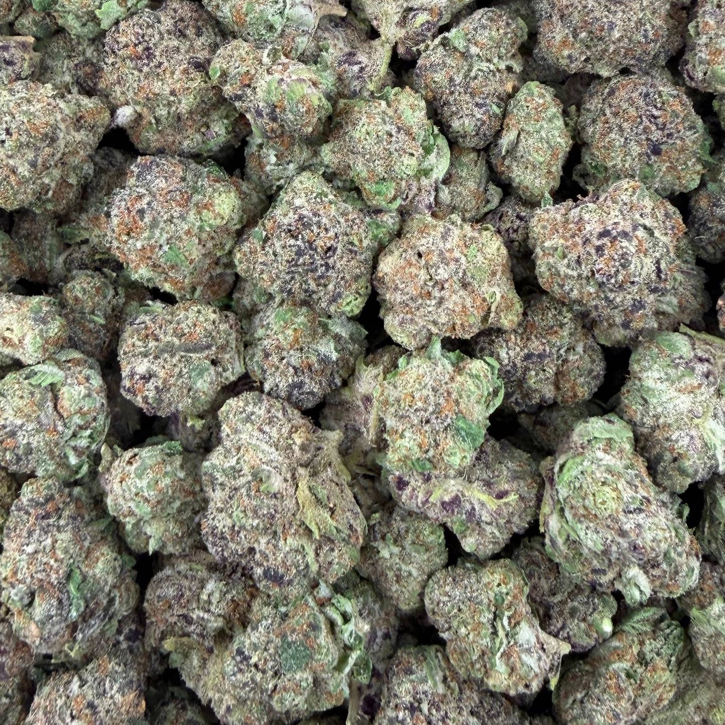 Satsuma Sherb bulk THCA flower — Plain Jane 1 lb