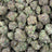 Satsuma Sherb bulk THCA flower — Plain Jane 1 lb