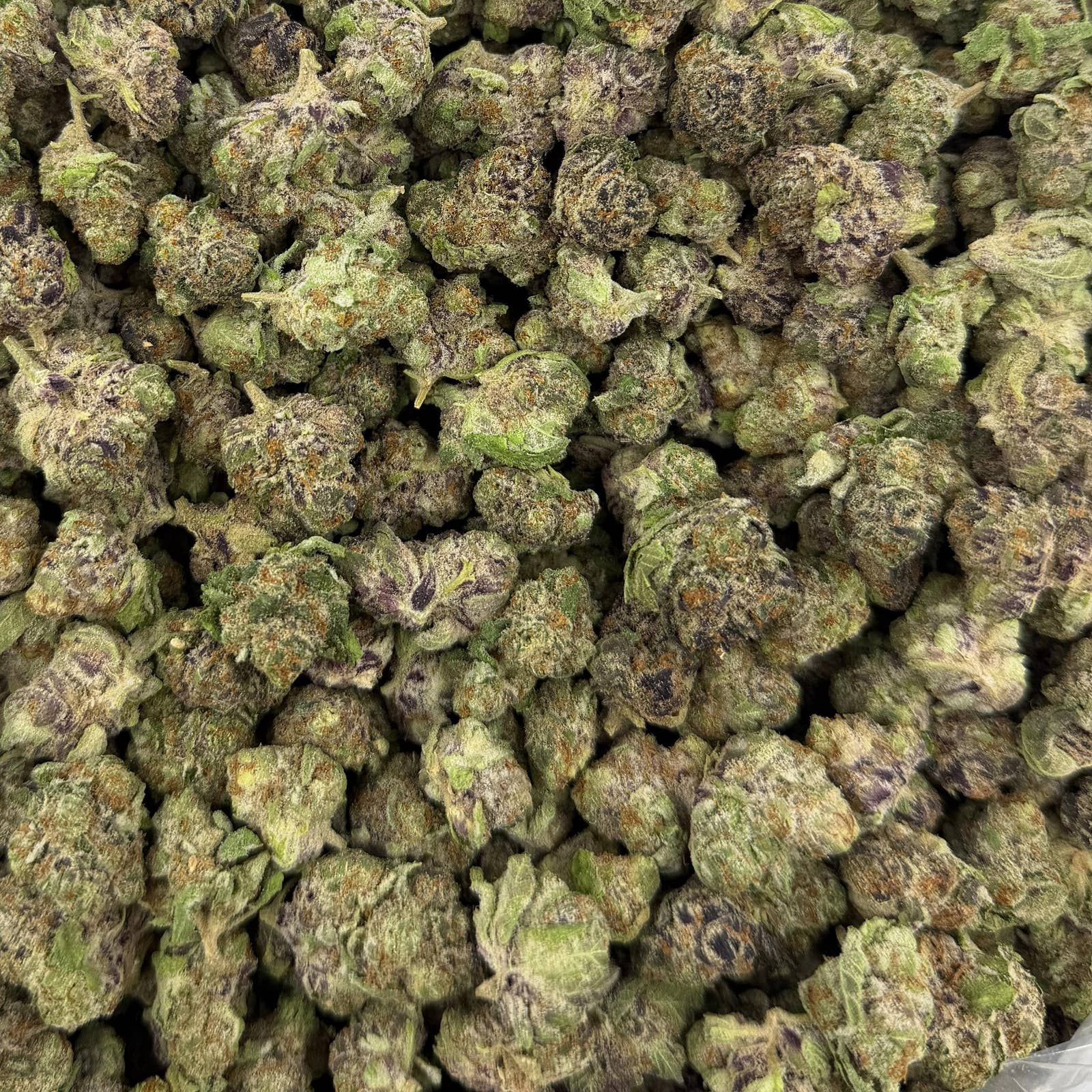 Satsuma Sherb bulk THCA flower — Plain Jane 1 lb
