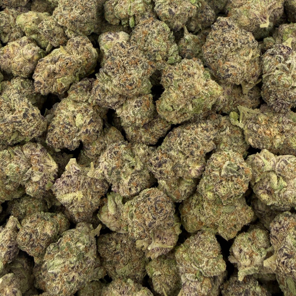 Satsuma Sherb bulk THCA flower — Plain Jane 1 lb