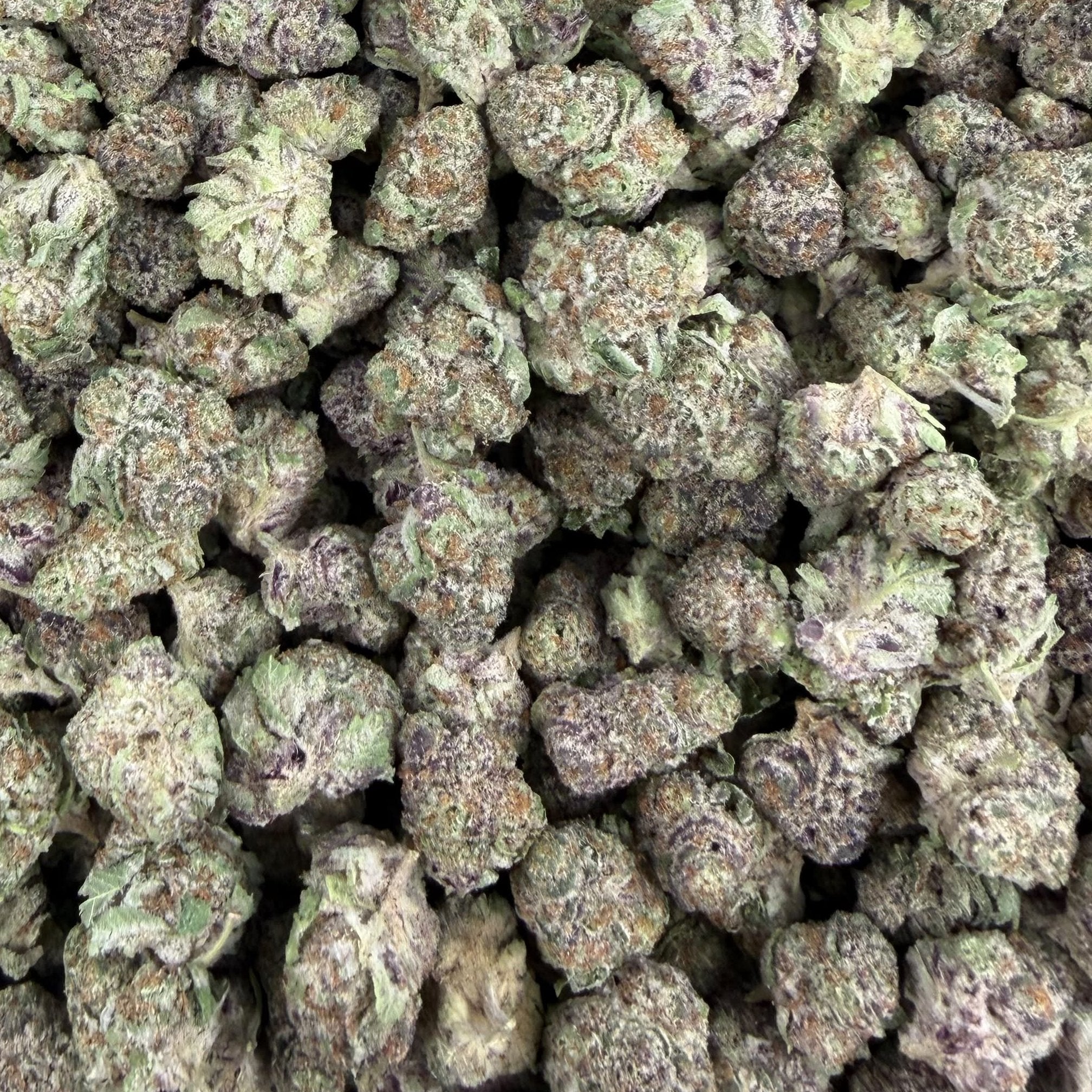 Satsuma Sherb bulk THCA flower — Plain Jane 1 lb