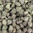 Satsuma Sherb bulk THCA flower — Plain Jane 1 lb