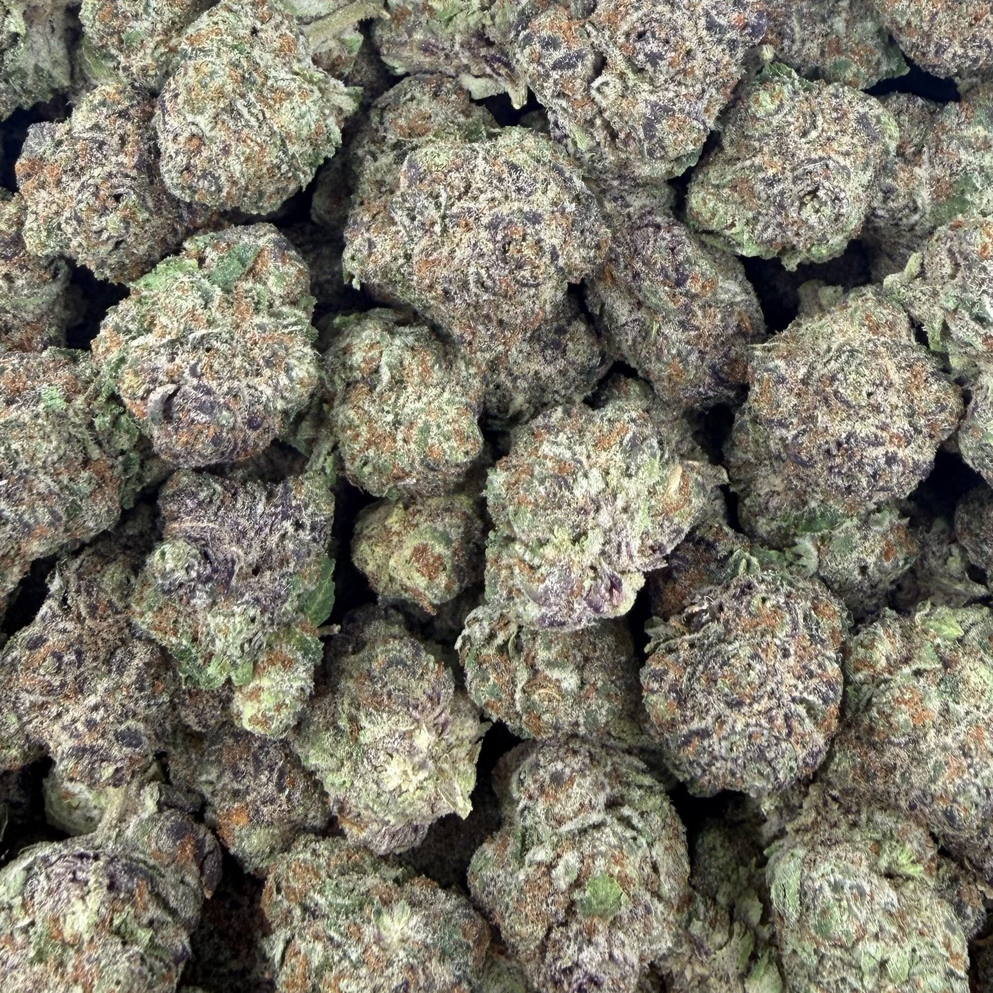 Satsuma Sherb bulk THCA flower — Plain Jane 1 lb