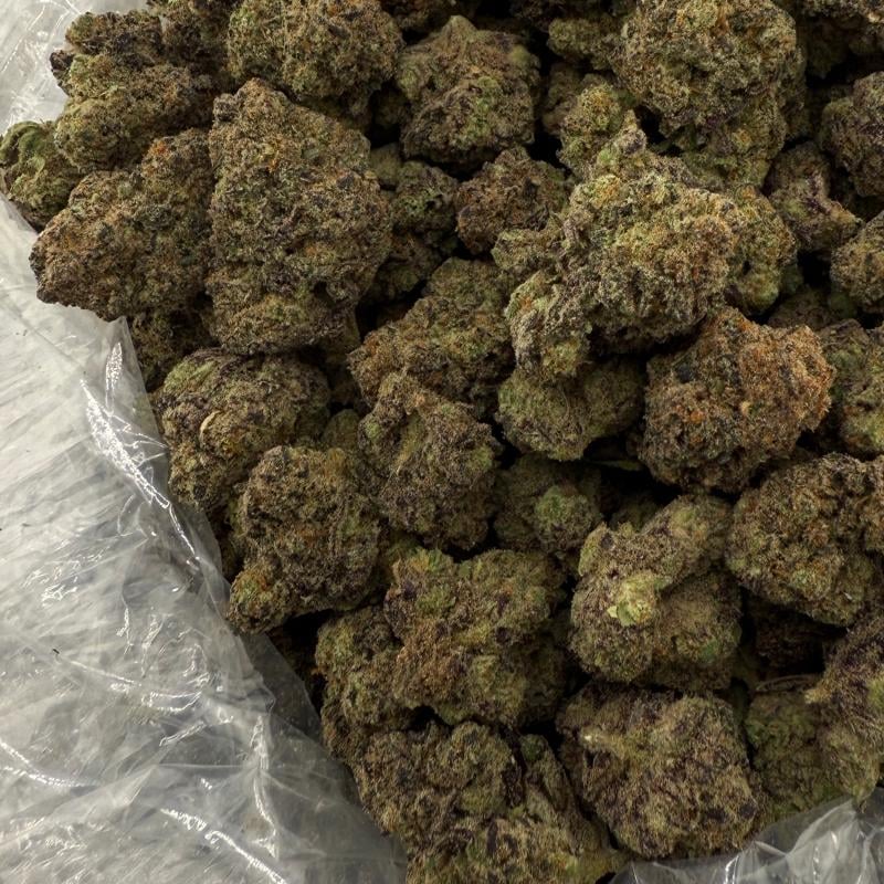 Scissor Queen bulk THCA flower — Plain Jane 1 lb