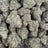 Scissor Queen bulk THCA flower — Plain Jane 1 lb