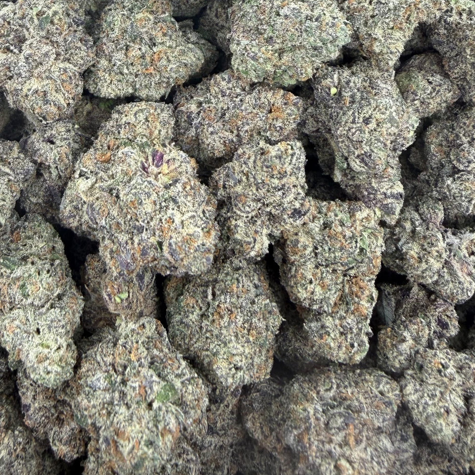 Scissor Queen (Boutique Exotic) – Bulk THCA Flower 1 lb