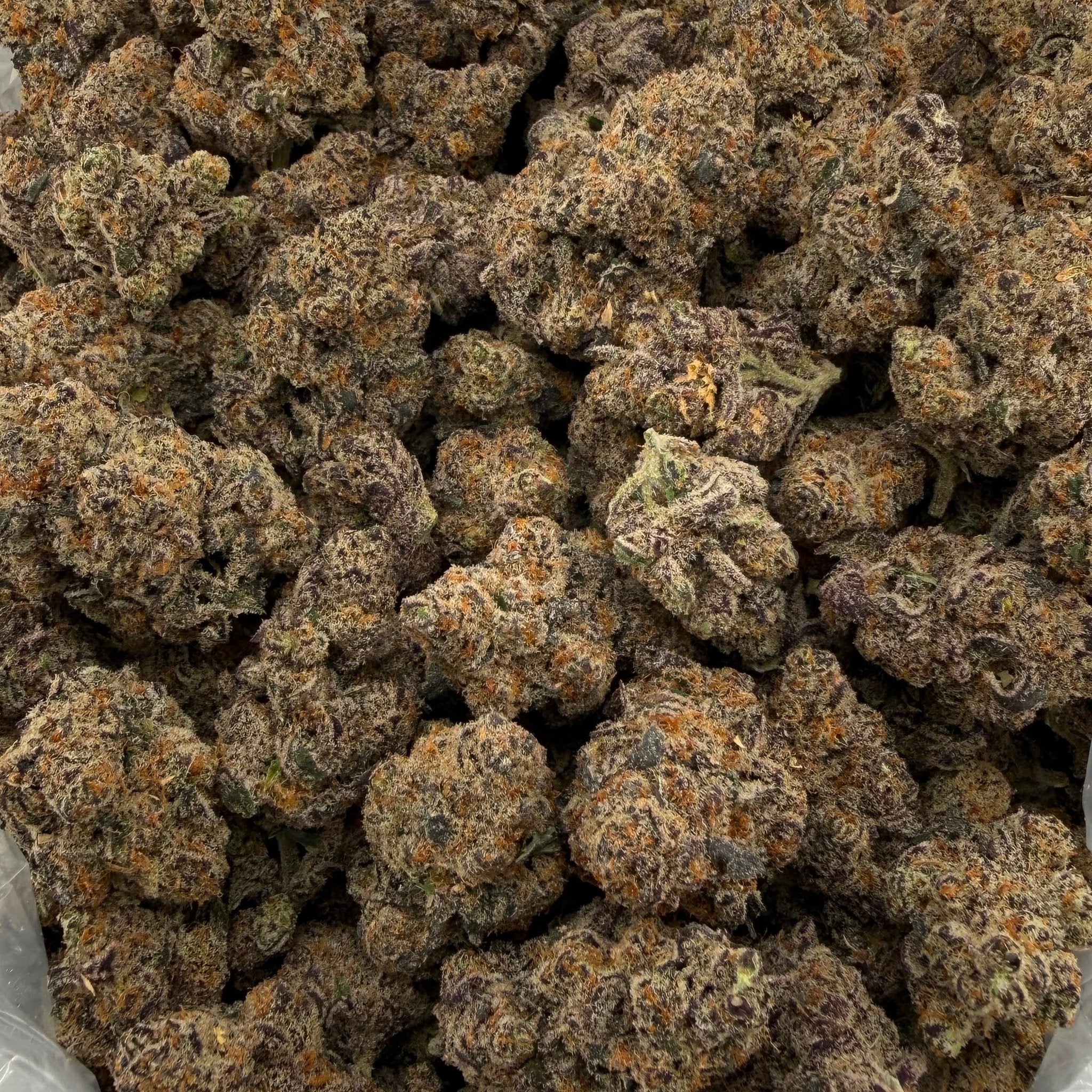 Scorpion Tears bulk THCA flower — Plain Jane 1 lb