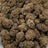 Scorpion Tears bulk THCA flower — Plain Jane 1 lb