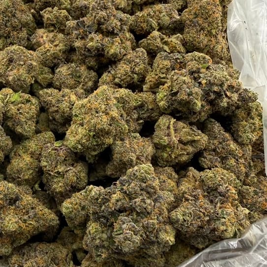 Scotch & Soda bulk THCA flower — Plain Jane 1 lb