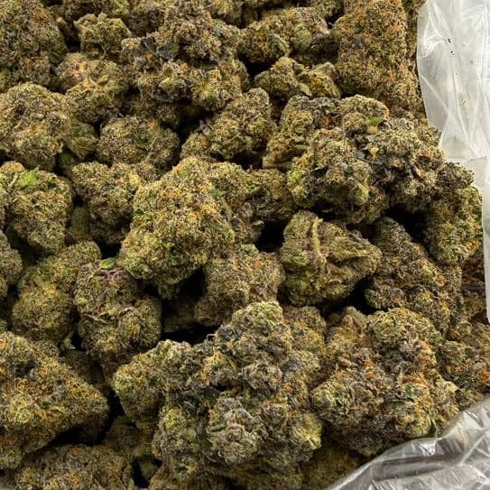 Scotch & Soda bulk THCA flower — Plain Jane 1 lb