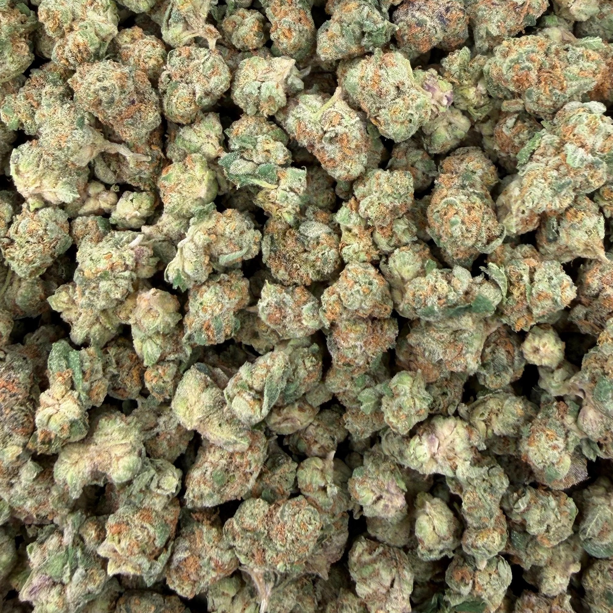 Scotch & Soda bulk THCA flower — Plain Jane 1 lb