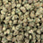 Scotch & Soda bulk THCA flower — Plain Jane 1 lb
