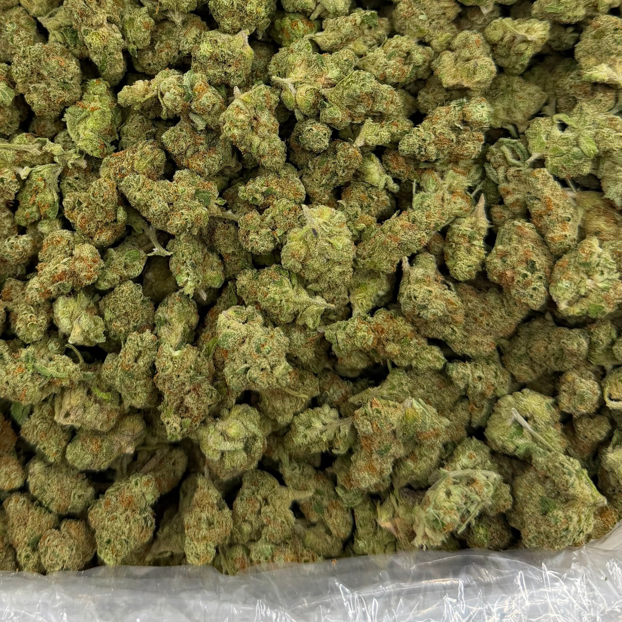 Scotch & Soda bulk THCA flower — Plain Jane 1 lb
