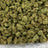 Scotch & Soda bulk THCA flower — Plain Jane 1 lb
