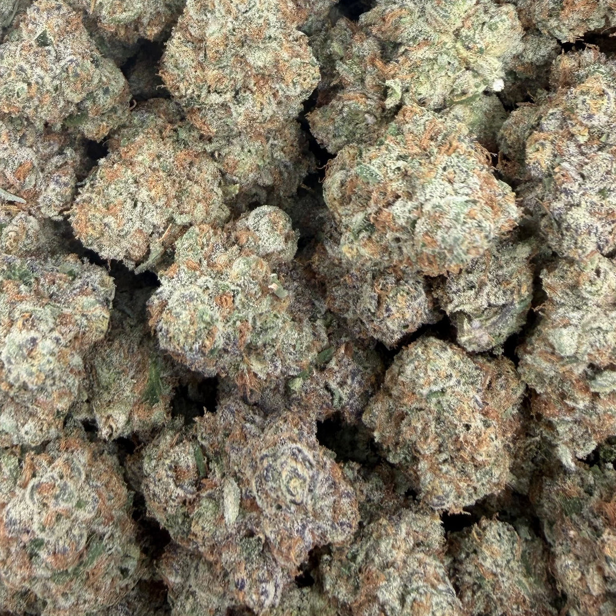 Scotch & Soda bulk THCA flower — Plain Jane 1 lb