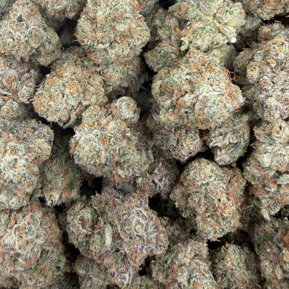 Scotch & Soda (Boutique Exotic) – Bulk THCA Flower 1 lb