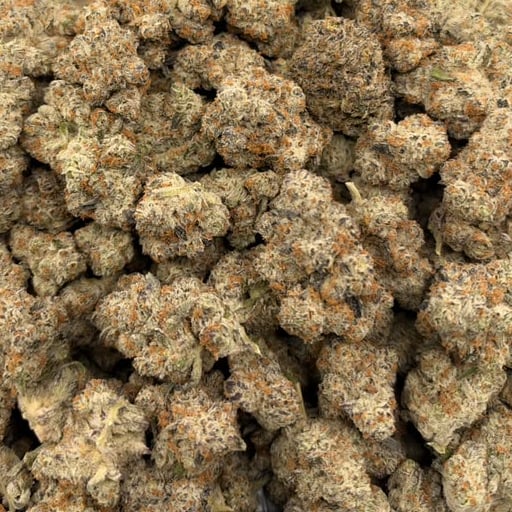 Secret Cookies bulk THCA flower — Plain Jane 1 lb
