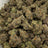 Secret Sauce bulk THCA flower — Plain Jane 1 lb