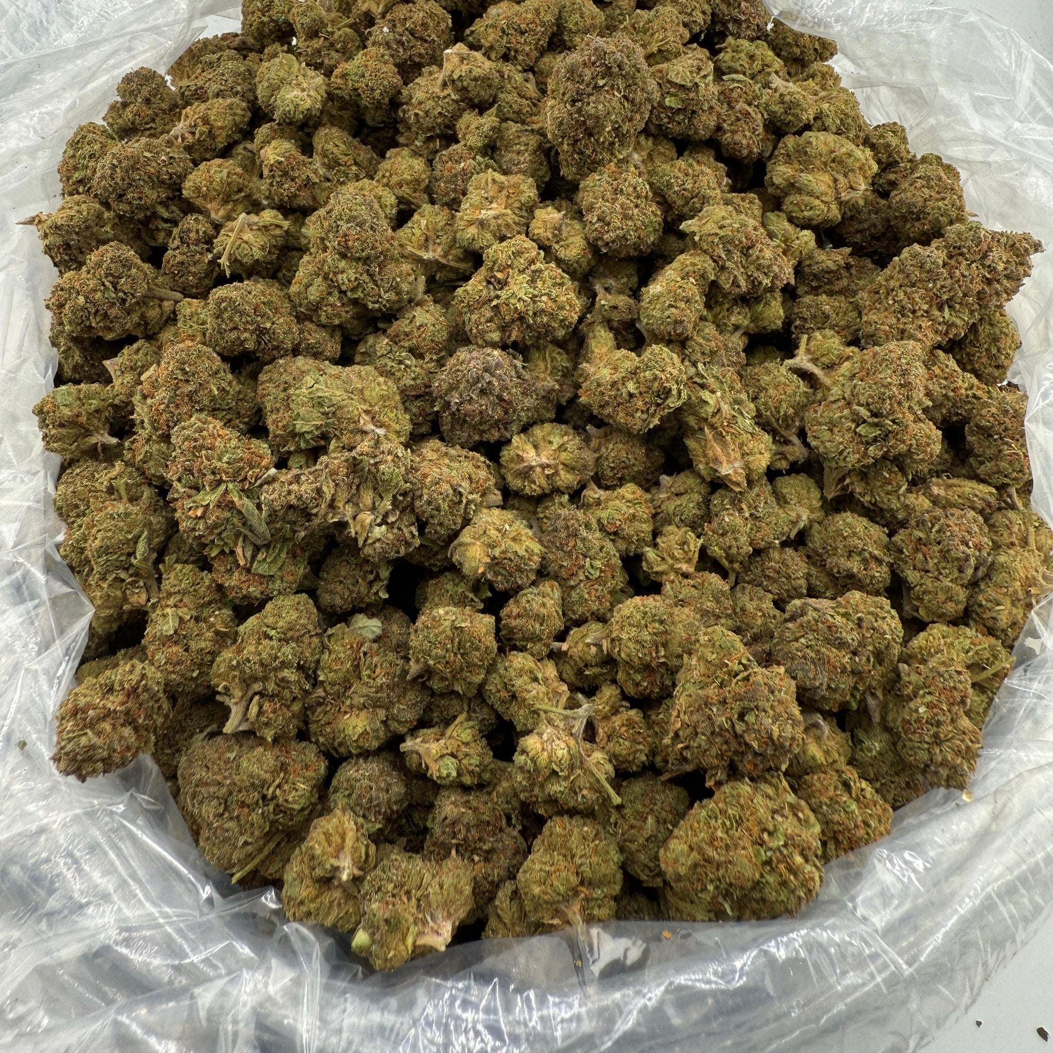 Sherbaccio bulk THCA flower — Plain Jane 1 lb
