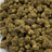 Sherbaccio bulk THCA flower — Plain Jane 1 lb