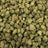 Sherbaccio bulk THCA flower — Plain Jane 1 lb