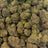 Sherbtang bulk THCA flower — Plain Jane 1 lb